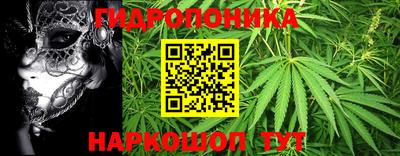 гашиш Бердск